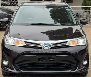 Toyota Corolla Fielder 2019 Maroon