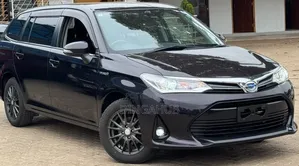 Toyota Corolla Fielder 2019 Maroon