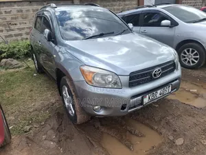 Toyota RAV4 2006 Gray