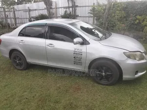 Toyota Axio 2006 Silver