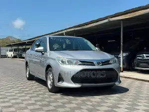 Toyota Axio 2019 Silver