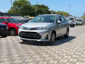Toyota Axio 2019 Silver