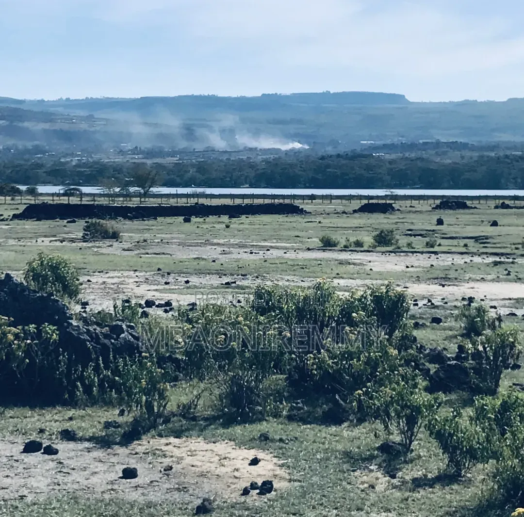 Own a Piece of Paradise: 50x100 Plot Overlooking Lake Elementaita
