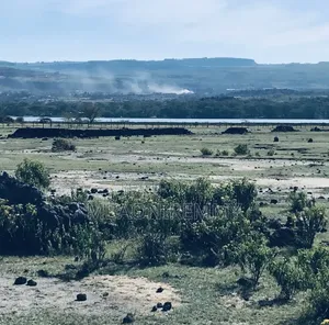 Own a Piece of Paradise: 50x100 Plot Overlooking Lake Elementaita