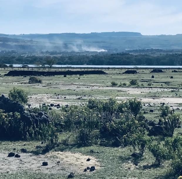 Own a Piece of Paradise: 50x100 Plot Overlooking Lake Elementaita