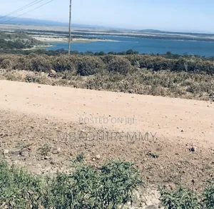 Own a Piece of Paradise: 50x100 Plot Overlooking Lake Elementaita