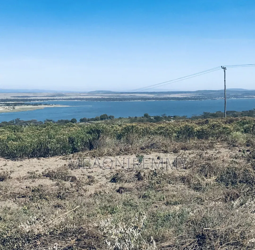Own a Piece of Paradise: 50x100 Plot Overlooking Lake Elementaita