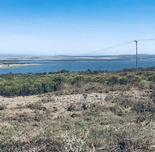 Own a Piece of Paradise: 50x100 Plot Overlooking Lake Elementaita - thumbnail 3