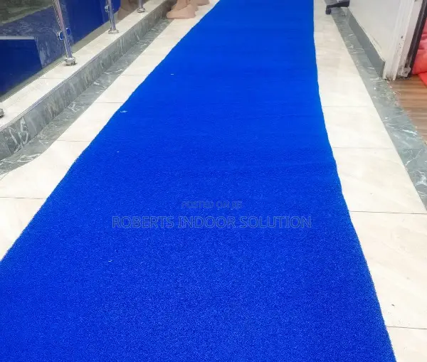 Premium Blue PVC Spaghetti Anti Slip Door Mat