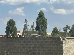 Plot of Land for Sale