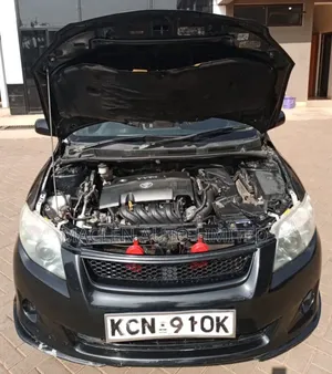 Toyota Corolla Fielder 2010 Black