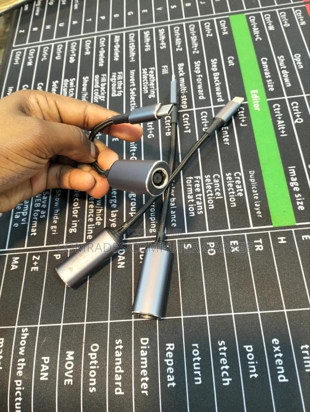 Big Pin to Type C Converter