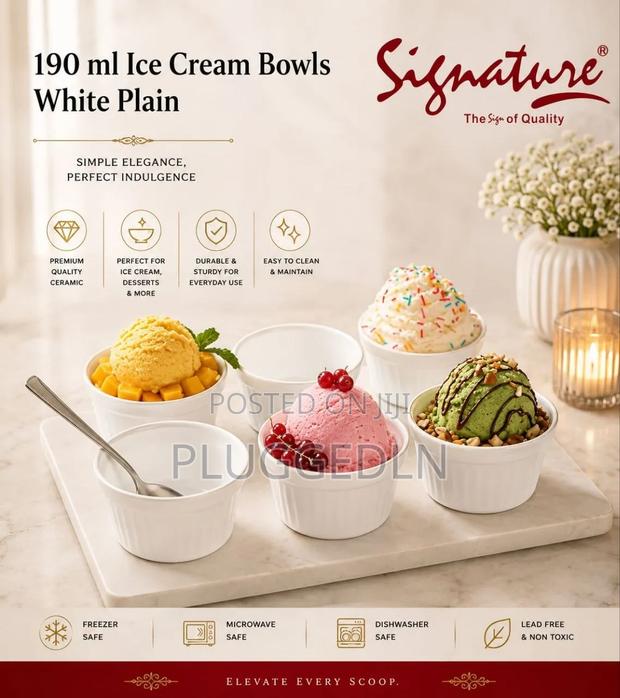 48 PCS Signature Ice Cream Bowl Set.
