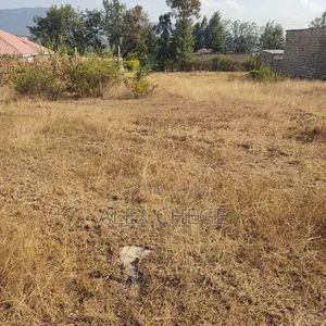 Prime Land for Sale 40 by 80