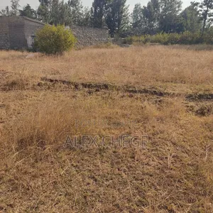 Prime Land for Sale 40 by 80