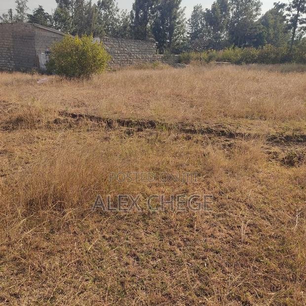 Prime Land for Sale 40 by 80 - thumbnail 3