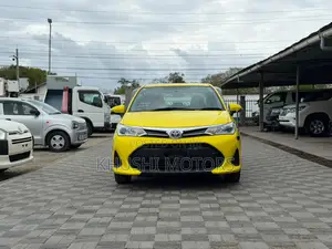 Toyota Axio 2019 Yellow