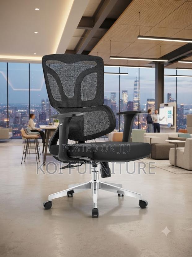 Office Chairs; Orthopedic Executive Office Ideal Koi Chairs - thumbnail 4