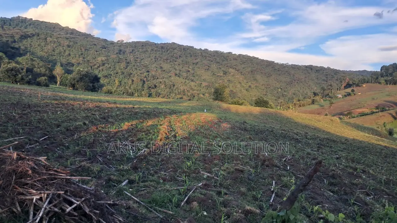 Prime 12-Acre Agricultural Land for Sale-Kitale