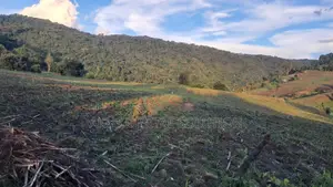 Prime 12-Acre Agricultural Land for Sale-Kitale