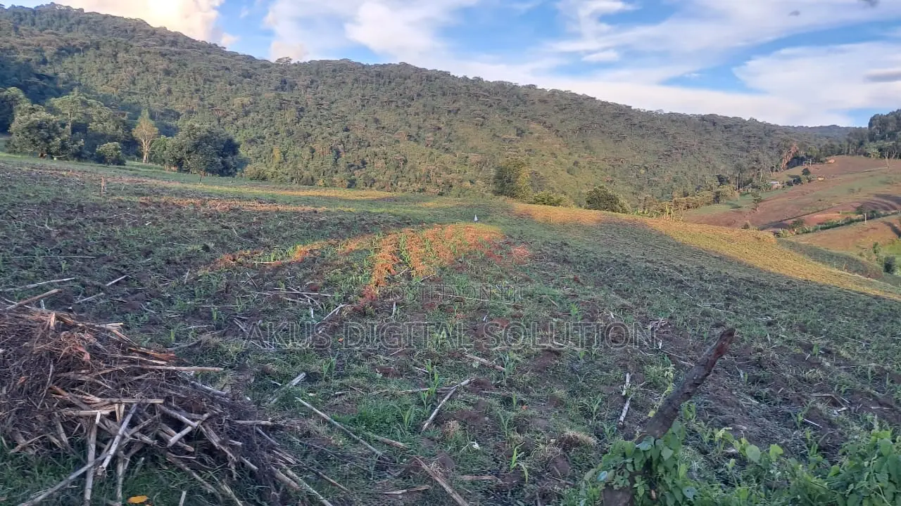 Prime 12-Acre Agricultural Land for Sale-Kitale