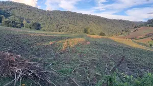 Prime 12-Acre Agricultural Land for Sale-Kitale
