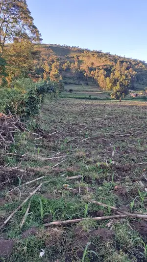 Prime 12-Acre Agricultural Land for Sale-Kitale