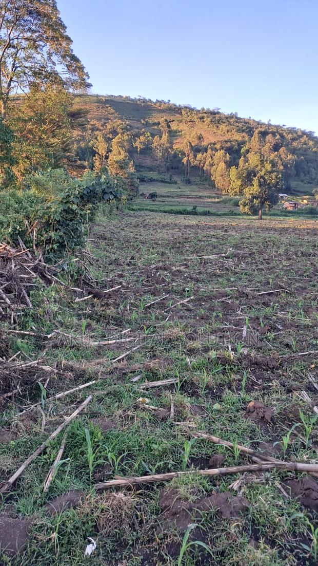 Prime 12-Acre Agricultural Land for Sale-Kitale