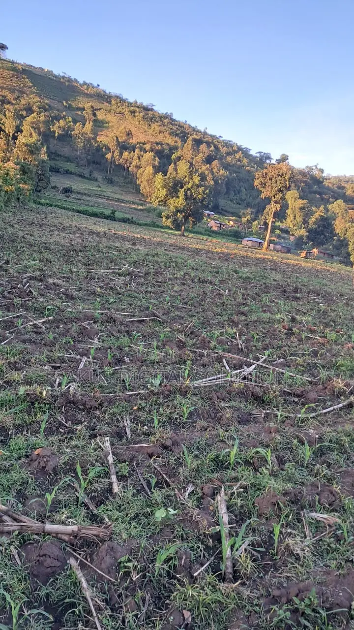Prime 12-Acre Agricultural Land for Sale-Kitale
