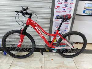 Premier Reset Mountain Bike Size 24 With Gear