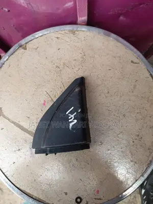 Inner Door Cover /Finisher Fielder or Axio 2008