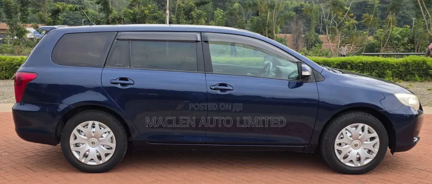 Toyota Corolla Fielder 2009 Blue