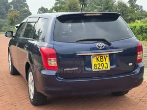 Toyota Corolla Fielder 2009 Blue