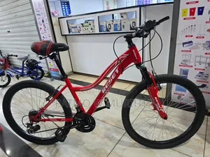 Reset Mountain Bicycle Size 24 With Gear