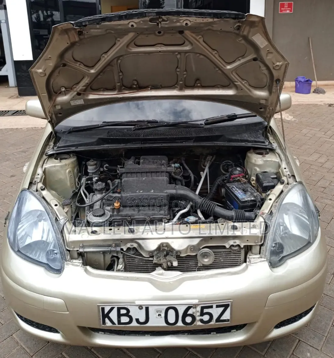 Toyota Vitz 2002 Gold