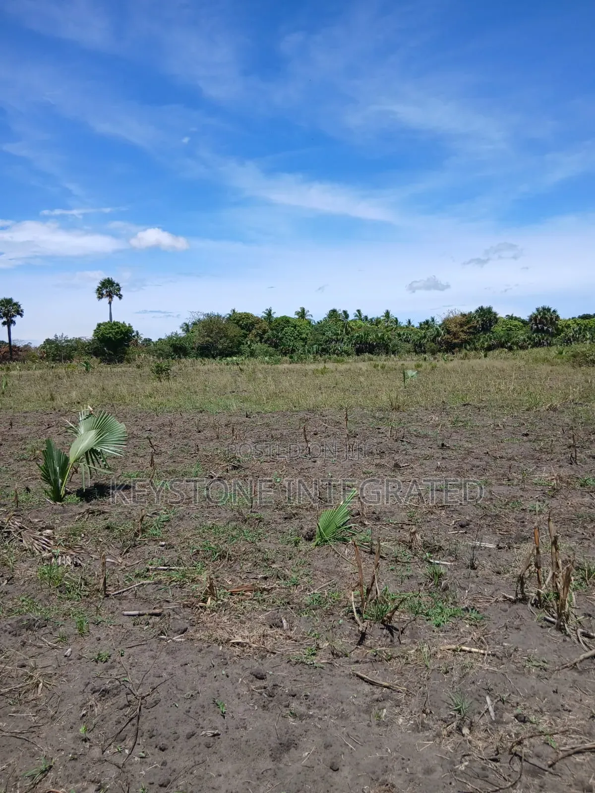 Land for Sale in Mokowe,Lamu