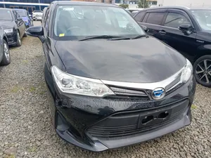 Toyota Corolla Fielder 2019 Black