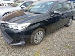 Toyota Corolla Fielder 2019 Black