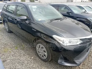 Toyota Corolla Fielder 2019 Black