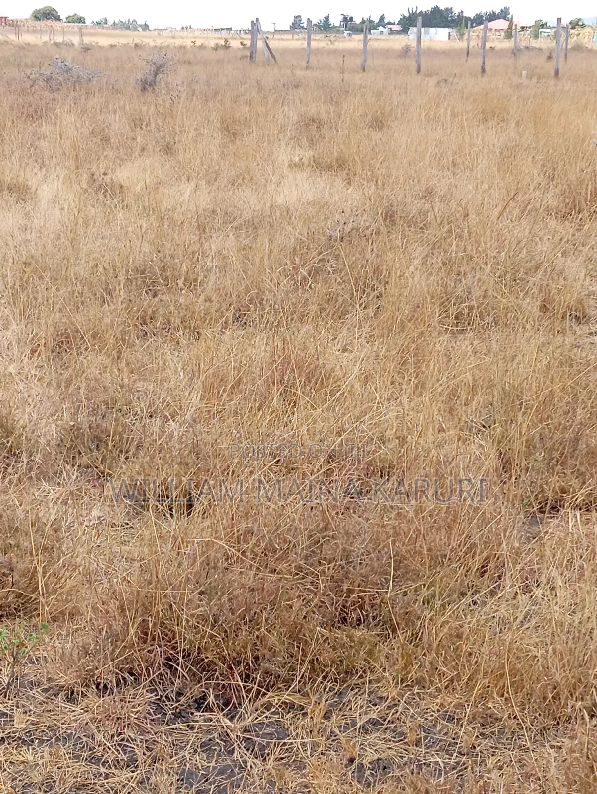 Prime Plot With Ready Title KANTAFU KANGUNDO RD 50*100