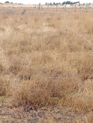 Prime Plot With Ready Title KANTAFU KANGUNDO RD 50*100