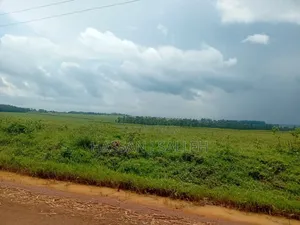 10 for Sale Trans Nzoia