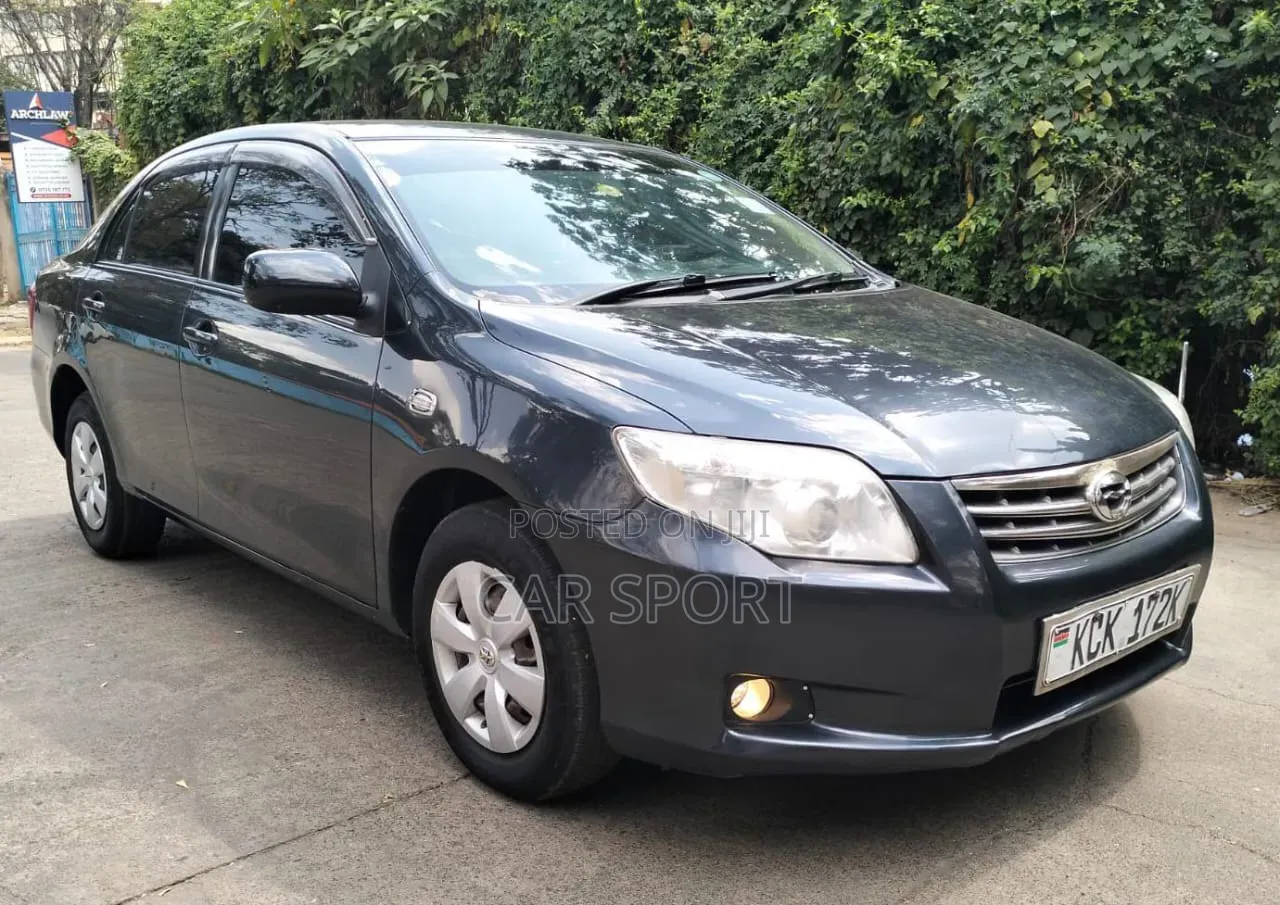 Toyota Axio 2010 Gray