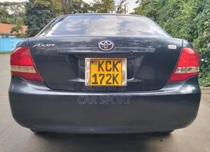 Toyota Axio 2010 Gray