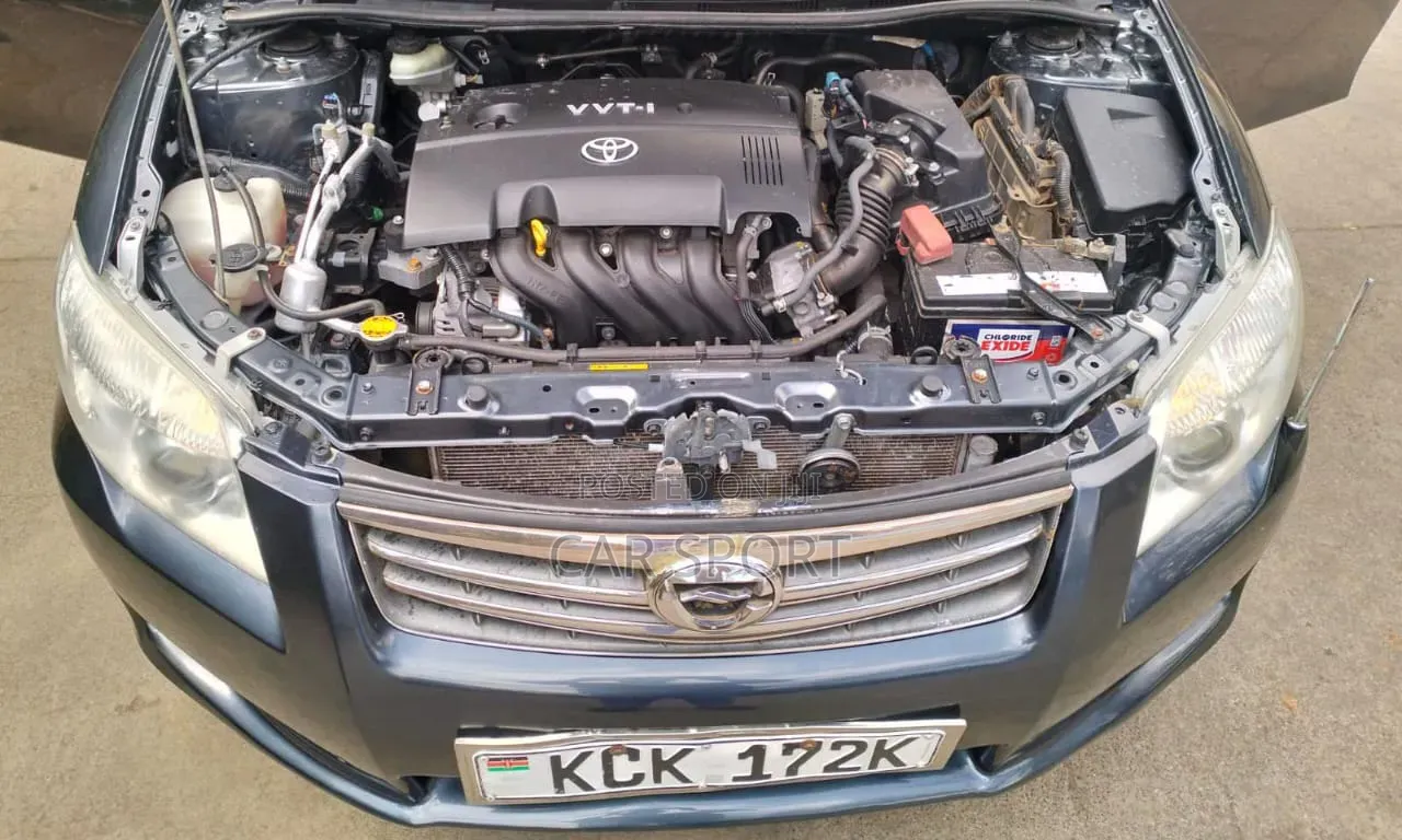 Toyota Axio 2010 Gray