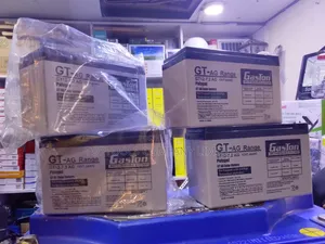 Gaston Rechargeable UPS Battery 12v 7AH