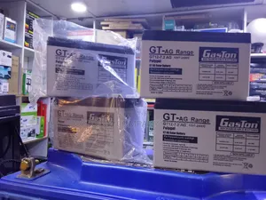 Gaston Rechargeable UPS Battery 12v 7AH