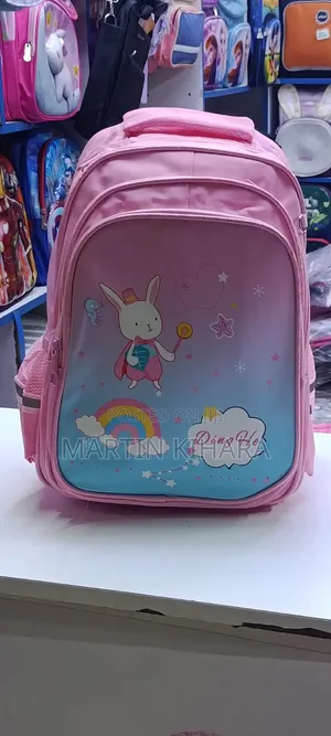 Ding He School Bags