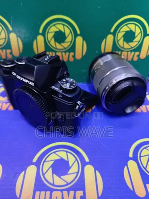 Olympus E-M10 Mirrorless Camera