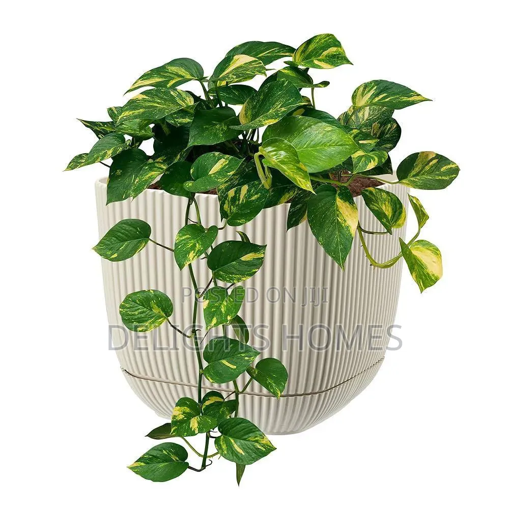 Coral Square Planter